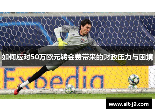 如何应对50万欧元转会费带来的财政压力与困境 如何应对50万欧元转会费带来的财政压力与困境